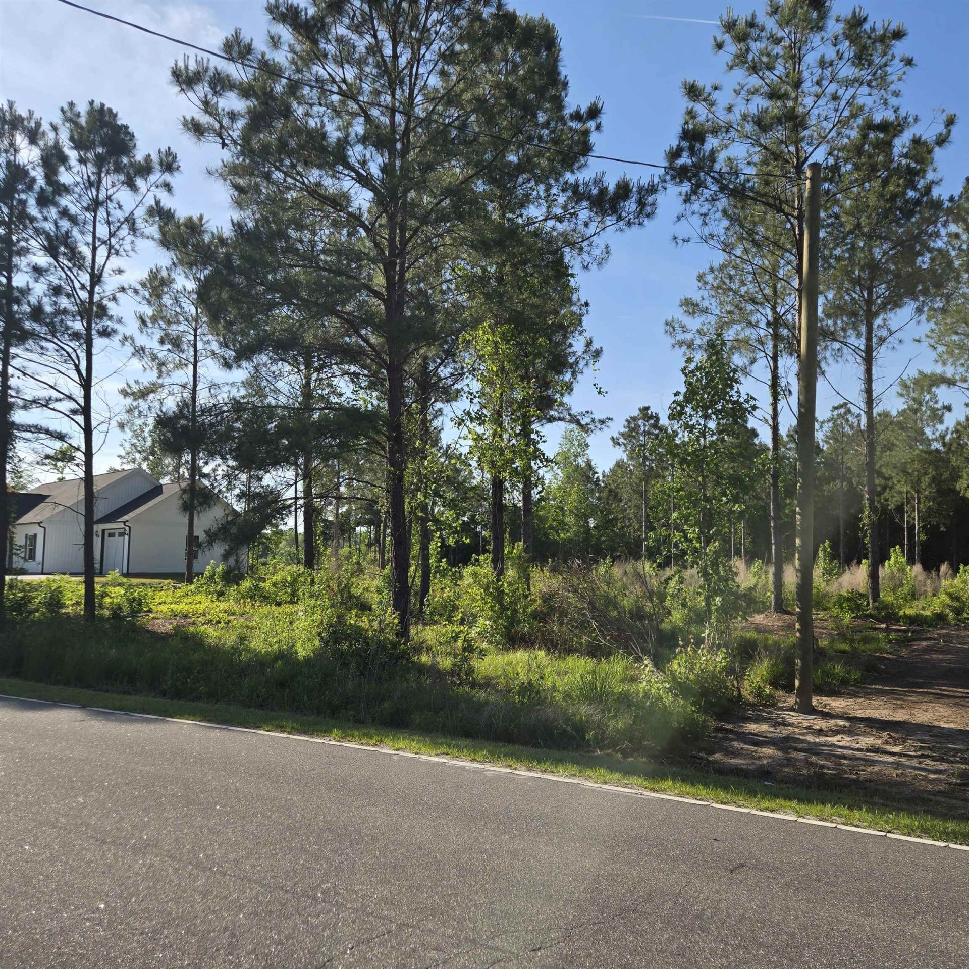 1513 Oakdale Rd. Photo 5