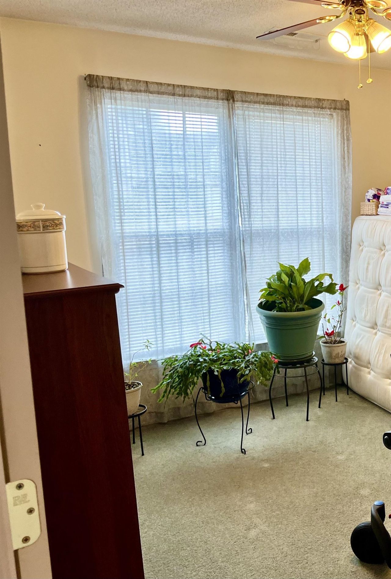 250 Country Manor Dr. Photo 19