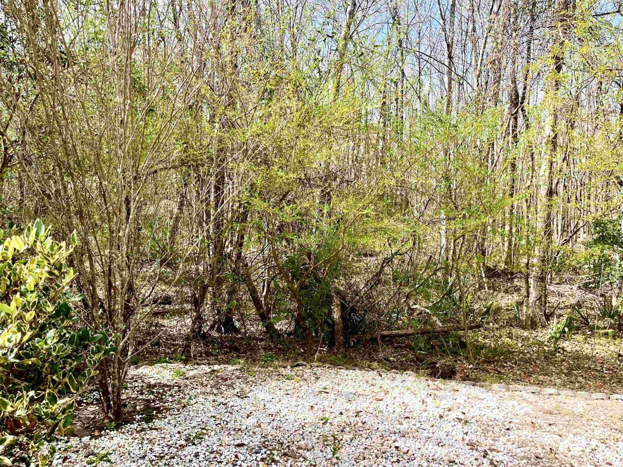 250 Country Manor Dr. Photo 22