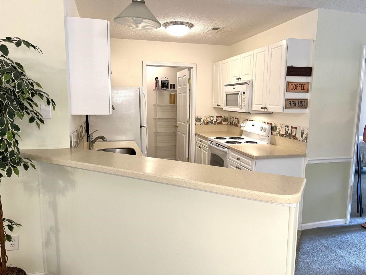 250 Country Manor Dr. Photo 7