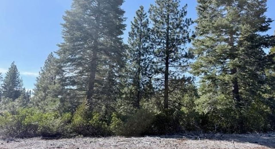 136 Fox Peak Drive, Lot #FG, Lake Almanor, CA 00000 Photo