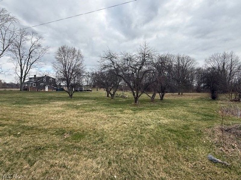 8735 Ryan Road, Seville, OH 44273 Photo 4