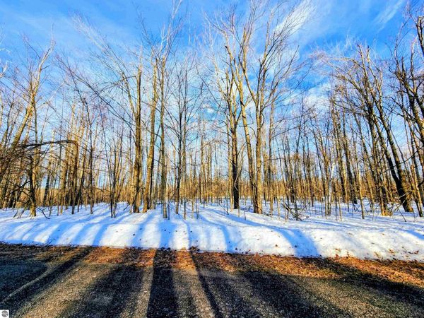 45 Terreton Circle, Elmira, MI 49730