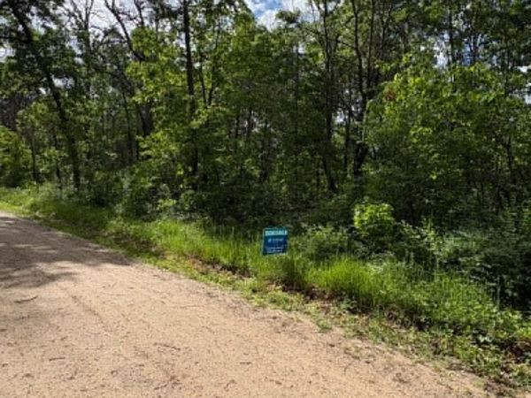 VL E Lynndon Street, Idlewild, MI 49642