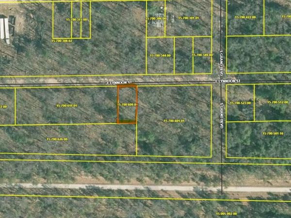 VL E Lynndon Street, Idlewild, MI 49642