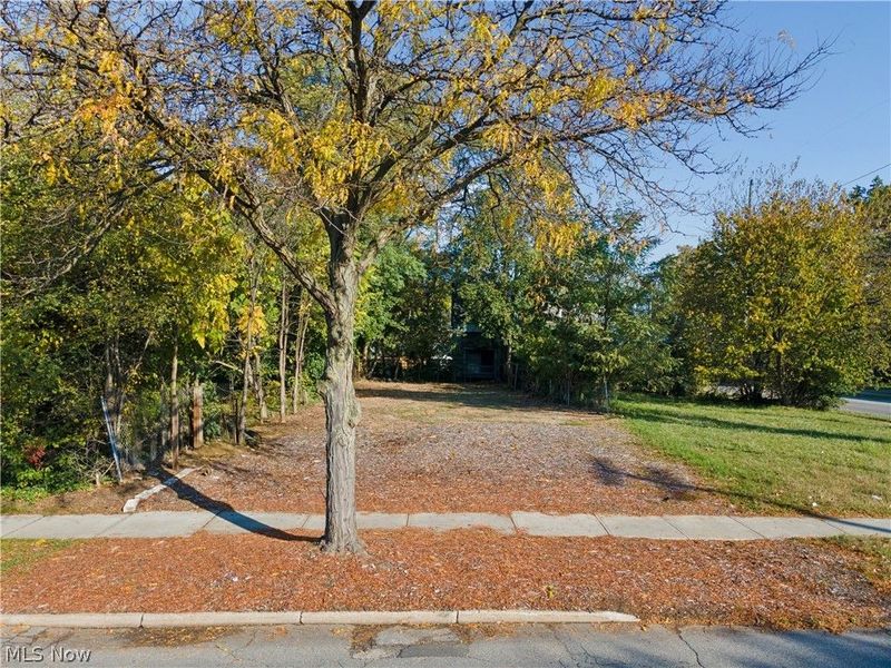 9215 Wade Park Avenue , Cleveland, OH 44106 Photo 2