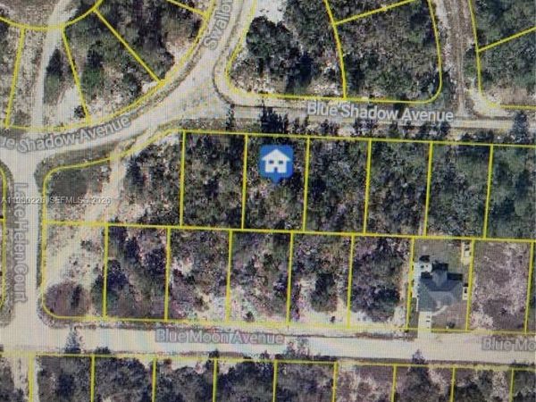 459 RUBA AVE , Lake Placid, FL 33852