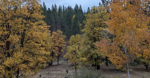 566 Main Ranch Road, Quincy, CA 95971 Photo