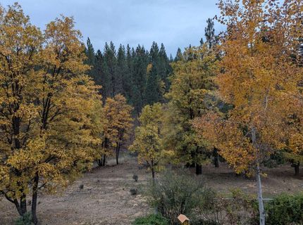 566 Main Ranch Road, Quincy, CA 95971 Photo