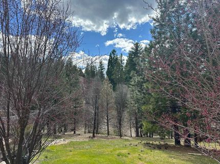 566 Main Ranch Road, Quincy, CA 95971 Photo