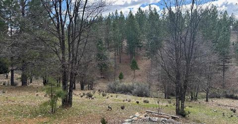 566 Main Ranch Road, Quincy, CA 95971 Photo
