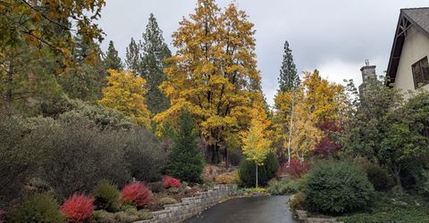 566 Main Ranch Road, Quincy, CA 95971 Photo