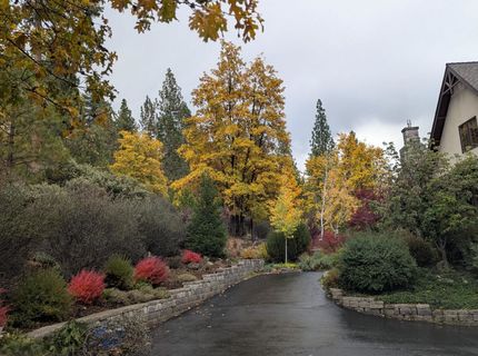 566 Main Ranch Road, Quincy, CA 95971 Photo