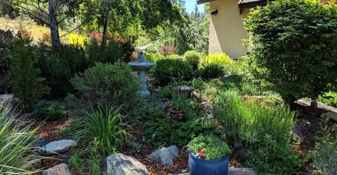 566 Main Ranch Road, Quincy, CA 95971 Photo