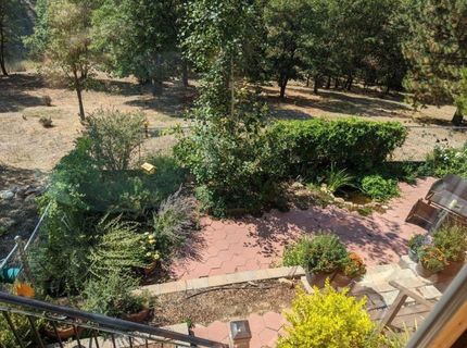 566 Main Ranch Road, Quincy, CA 95971 Photo
