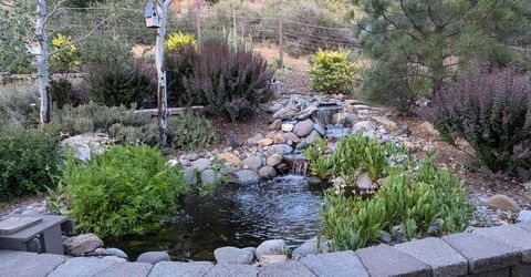 566 Main Ranch Road, Quincy, CA 95971 Photo
