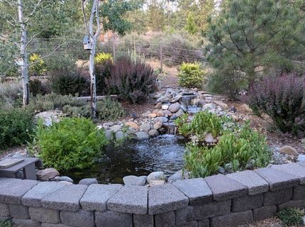 566 Main Ranch Road, Quincy, CA 95971 Photo