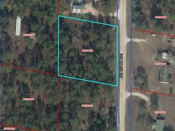 00 NE 137TH AVENUE , WILLISTON, FL 32696