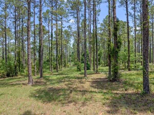 35408 PINEGATE TRL TRAIL , EUSTIS, FL 32736