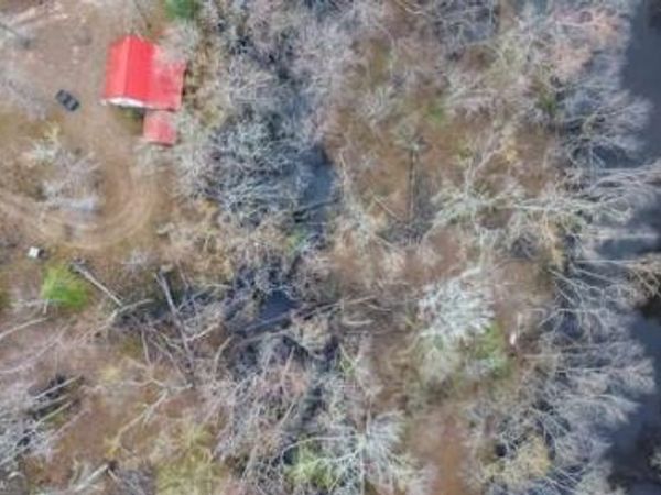 5230 Coleman Bridge SPUR, Cobbtown, GA 30420