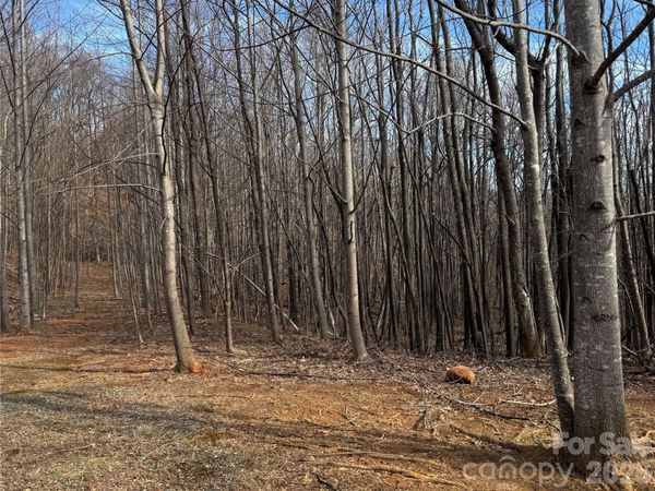 99999 Chesterfield Drive , Mill Spring, NC 28756