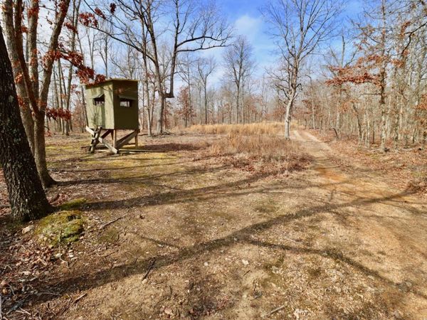 0 Baker Cemetery Rd., Williford, AR 72482