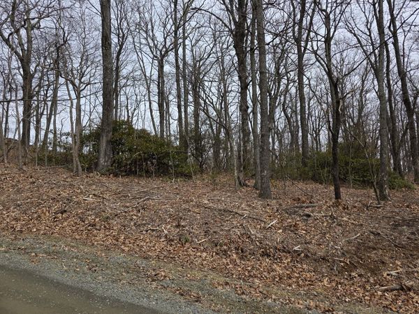 Lot 8 Edgeview DR , Meadows of Dan, VA 24120