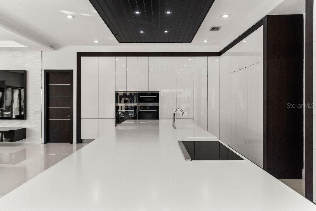 19002 Deer Point Place, Odessa, FL 33556 Photo