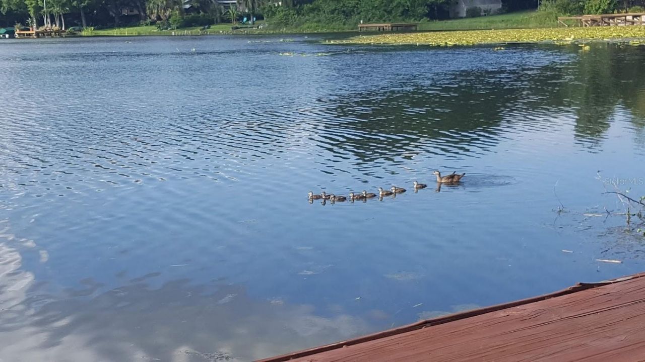 703 Meredith Street , Fern Park, FL 32730 Photo