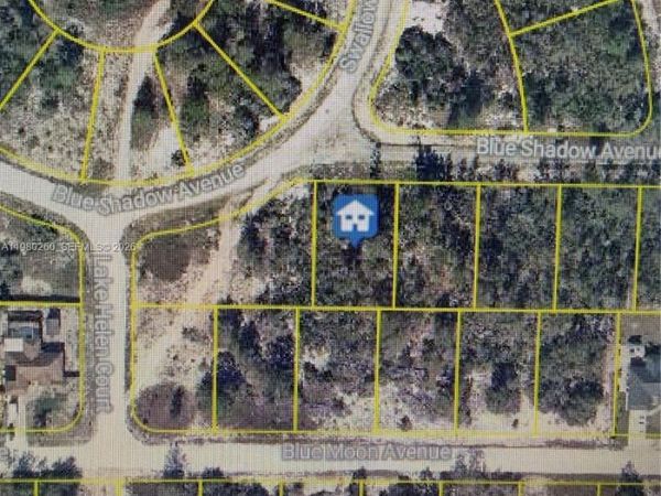 457 RUBA AVE , Lake Placid, FL 33852