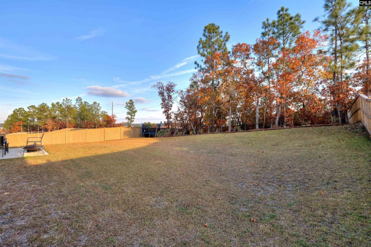 29 Coltswood Ln Photo 58