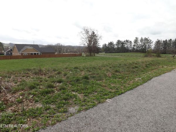 112 AUGGIE BELLE Lane, Speedwell, TN 37870