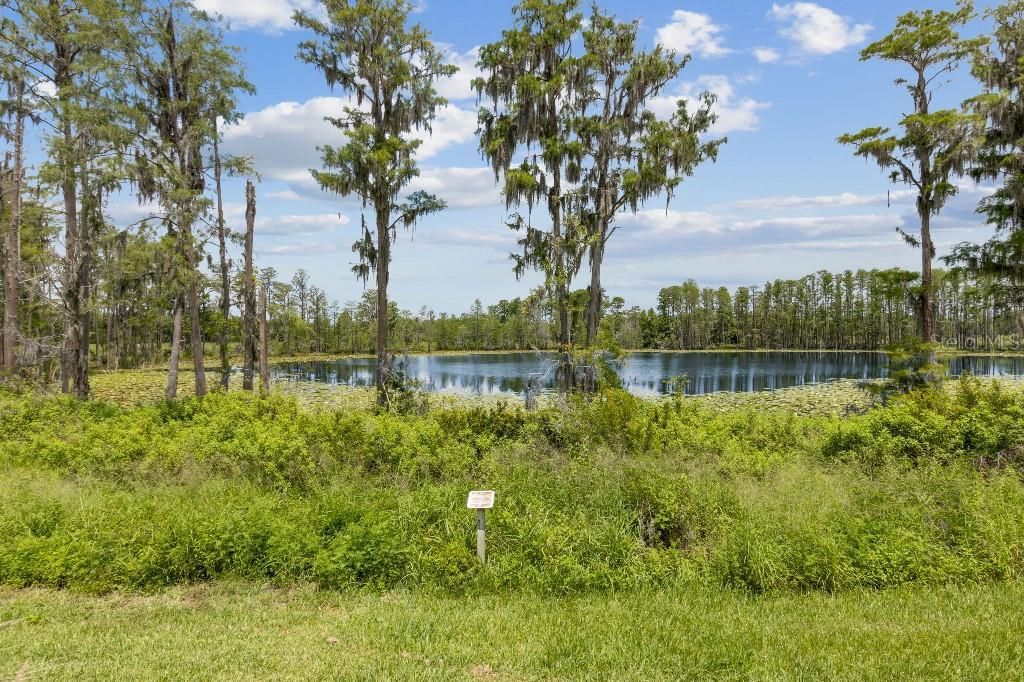 17936 Adrift Road , Winter Garden, FL 34787 Photo