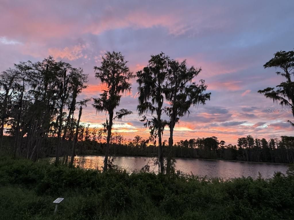 17936 Adrift Road , Winter Garden, FL 34787 Photo