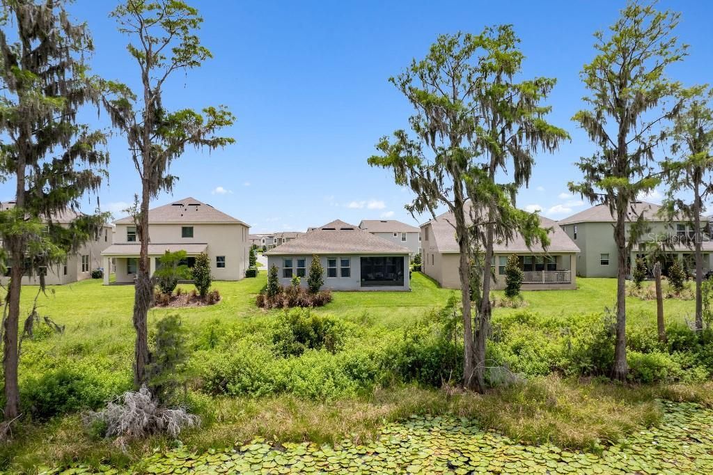 17936 Adrift Road , Winter Garden, FL 34787 Photo