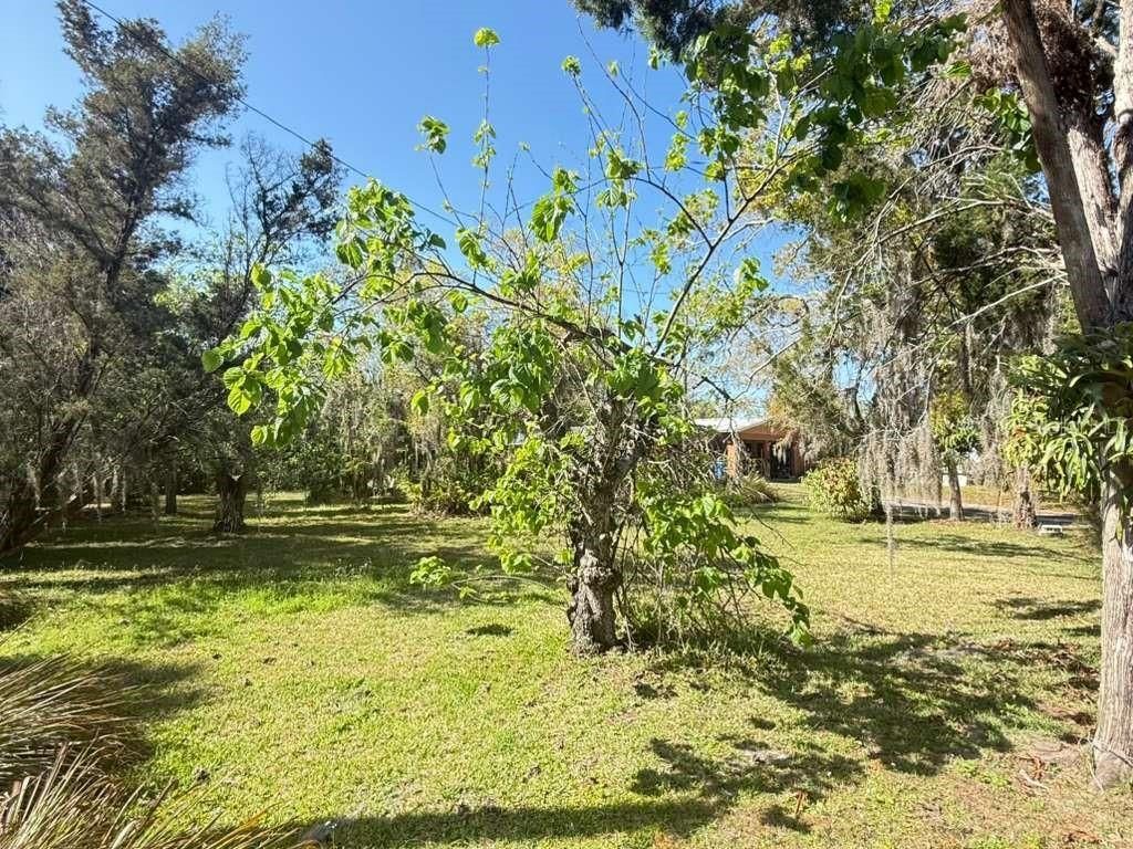 4858 Troydale Road, Tampa, FL 33615 Photo