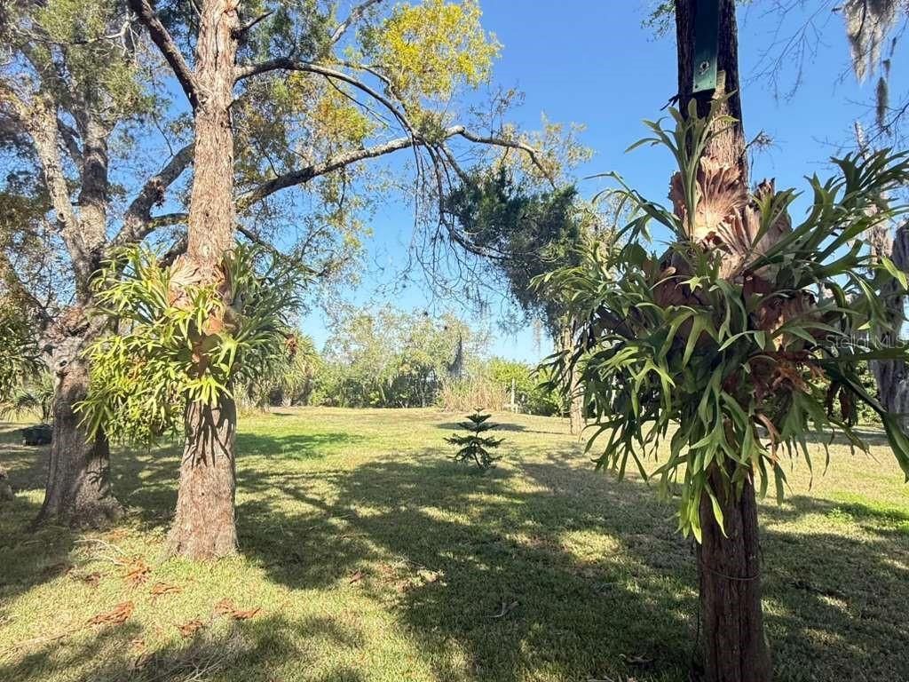 4858 Troydale Road, Tampa, FL 33615 Photo