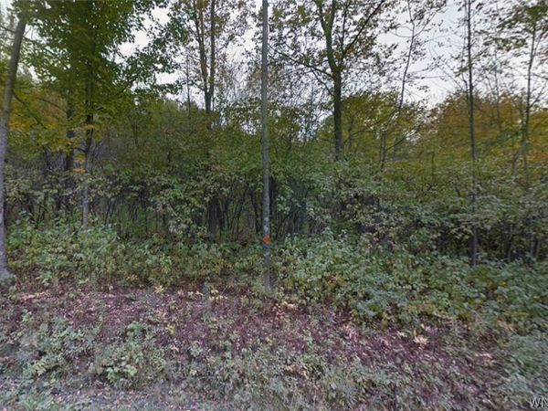 00 Buddle Road, Richfield Springs, NY 13439