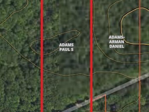 10 AC Oak Lake Road, Lewiston, MI 49756