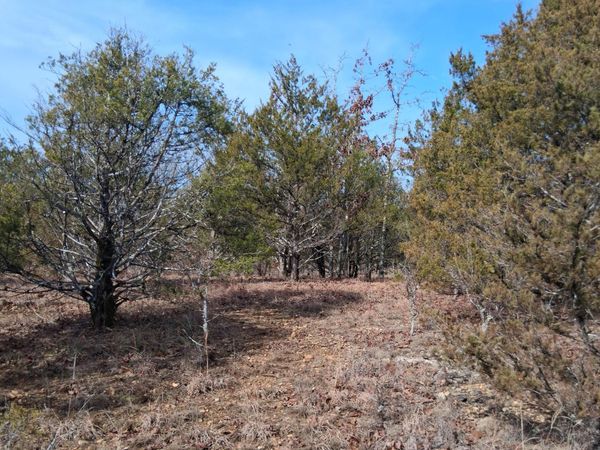 000 Greers Ferry Road, Branson, MO 65616