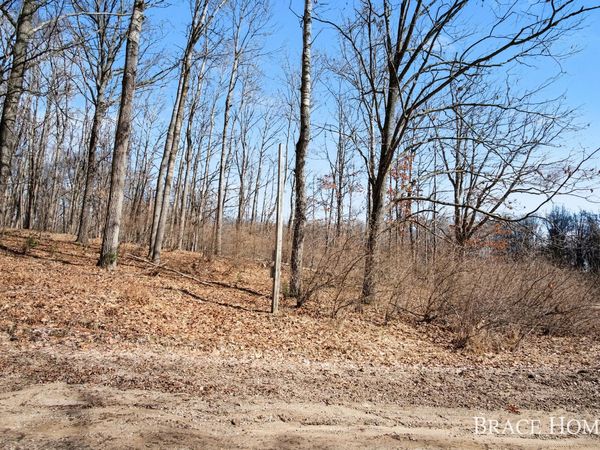 8426 Manitoba Street, Stanwood, MI 49346