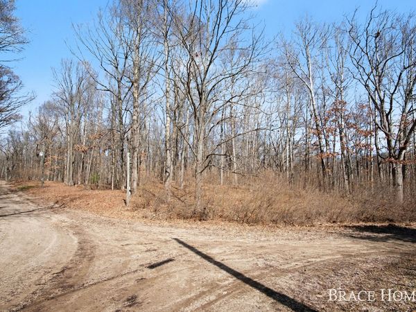 8426 Manitoba Street, Stanwood, MI 49346