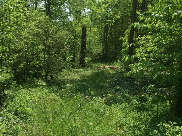 0 Fowlers Mill Road , Chardon, OH 44024