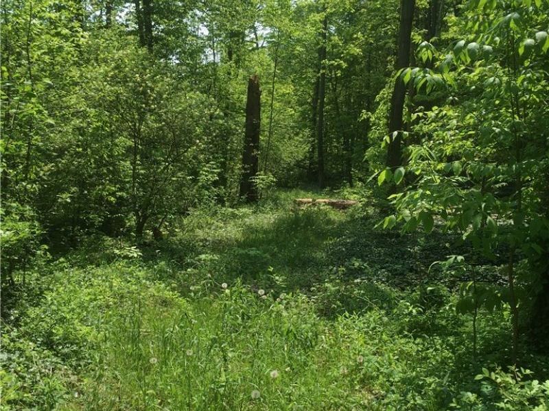 0 Fowlers Mill Road, Chardon, OH 44024 Photo 1