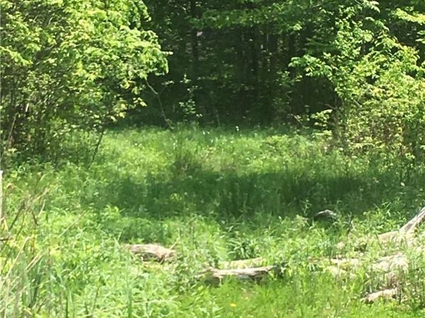 0 Fowlers Mill Road, Chardon, OH 44024