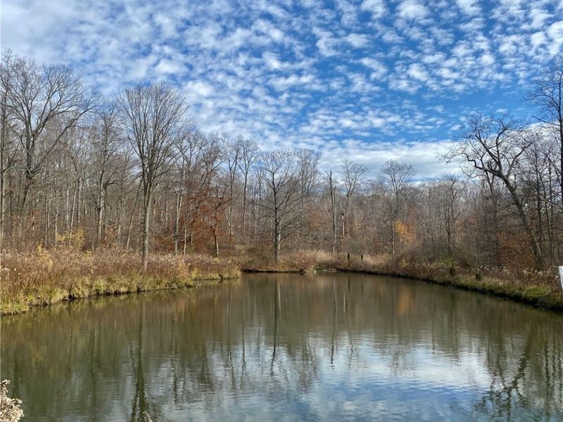 0 Fowlers Mill Road, Chardon, OH 44024 Photo 10