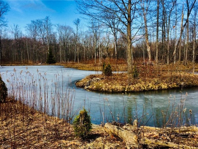 0 Fowlers Mill Road, Chardon, OH 44024 Photo 11