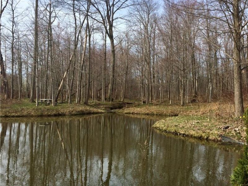 0 Fowlers Mill Road, Chardon, OH 44024 Photo 12