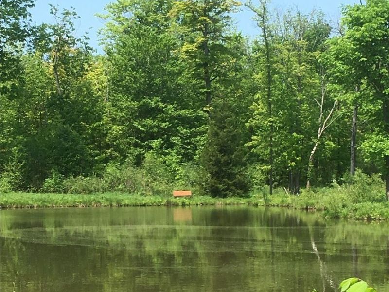 0 Fowlers Mill Road, Chardon, OH 44024 Photo 4