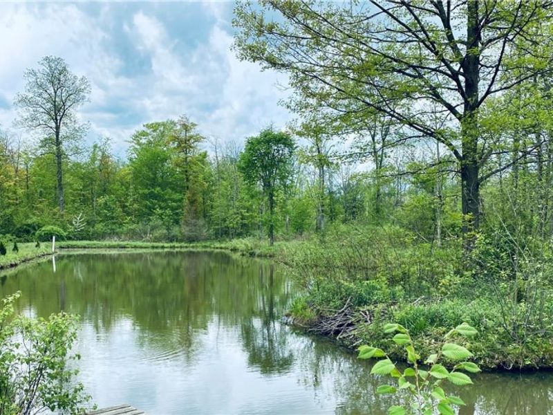 0 Fowlers Mill Road, Chardon, OH 44024 Photo 5